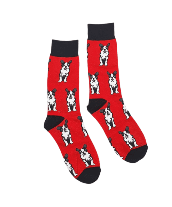 גרביים מעוצבים - כלב בוסטון טרייר רקע אדום