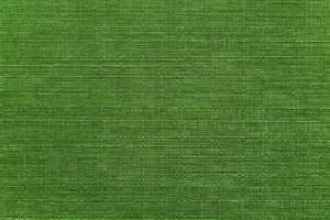 תמונה ראשית בד טבעוני קונספט סוגי בדים טבעוניים