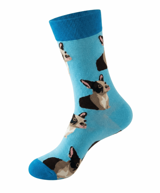 גרביים מעוצבים - בולדוג צרפתי